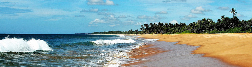 Sri Lanka Luuxury Holidays